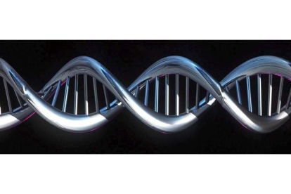 Una imagen virtual de una secuencia de ADN realizada por un ordenador. HO