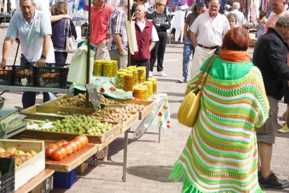 Feria del Tomate en Mansilla de las Mulas. J. NOTARIO