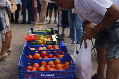 Feria del Tomate en Mansilla de las Mulas. J. NOTARIO