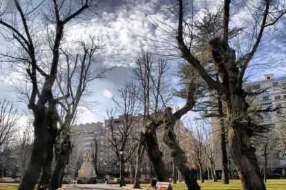 Parque de San Francisco, esta misma semana, otra de las zonas emblemáticas de árboles de León.