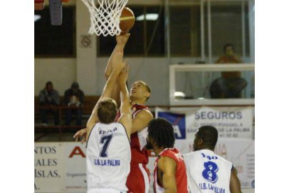 Craig Bradshaw lanza a canasta ante la oposición de Driesen