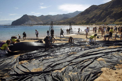 Los activistas de Greenpeace en su acción contra las prospecciones petrolíferas.