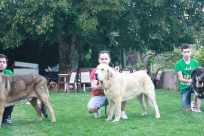 Los tres campeones del certámen europeo 2013 celebrado en Suiza, Cyro, Freddy y Fionna.