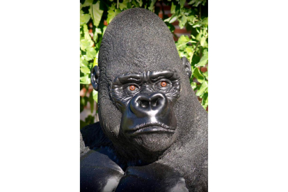 El gorila realizado con caucho reciclado tiene su destino en el parque de Cabárceno.
