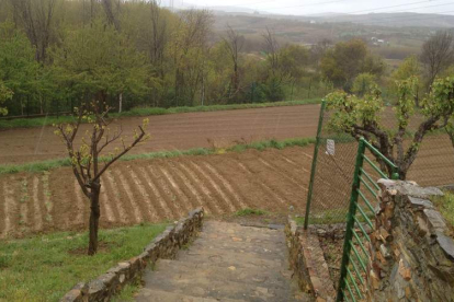 Algunas de las tierras explotadas por Proyecto Hombre con fin terapeútico y económico. PH