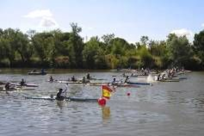 Los palistas en plena competición en aguas zamoranas