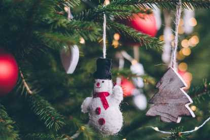 ¿Cuál es el árbol de Navidad en León más innovador para tener en casa?
