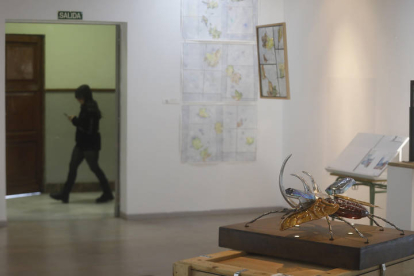 Exposición de proyectos fin de curso en la Escuela de Arte de León. FERNANDO OTERO