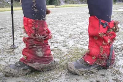 Se trata de una masa de hielo con carácter de meseta de una altura de 1.350 metros, interrumpida por numerosos picos y cordones cordilleranos con cotas de hasta 3.600 metros.