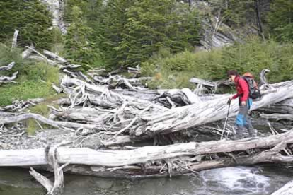 Desde allí, comenzaron la aventura hacia Hielo Sur, una caminata intrincada de peligros y dificultades en la que se vieron obligados a atravesar castoreras para llegar a los glaciares.