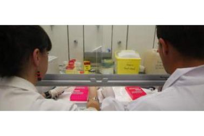 Dos científicos del Instituto de Biomedicina investigan algunas muestras.