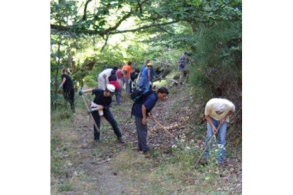 Voluntarios de Promonumenta limpiando un canal romano de La Cabrera