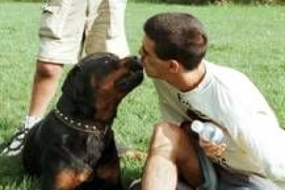 Un joven con autismo con un perro entrenado por su padre para mejorar su comunicación