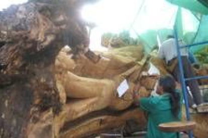 Dos alumnos del taller estudian los planos de la escultura