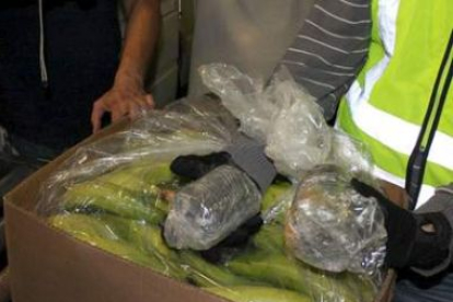Entre los plátanos se encontraba camuflada la droga.