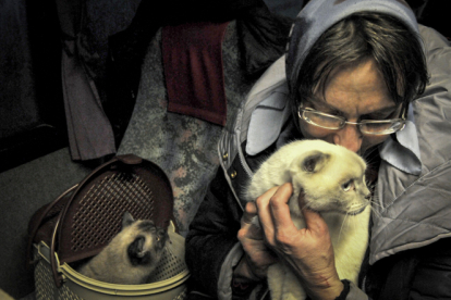 Una anciana evacuada de Mariupol sostiene un gato en un autobús en la frontera entre Ucrania y Rusia en el paso fronterizo Veselo-Voznesenka. EFE/EPA/ARKADY BUDNITSKY