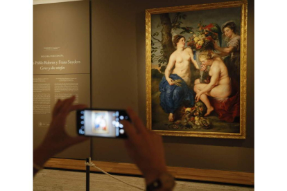 El Rubens prestado a Pallarés por el Museo del Prado.