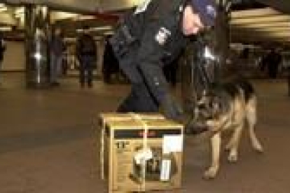 Un policía utiliza un perro para detectar explosivos en el metro de Nueva York