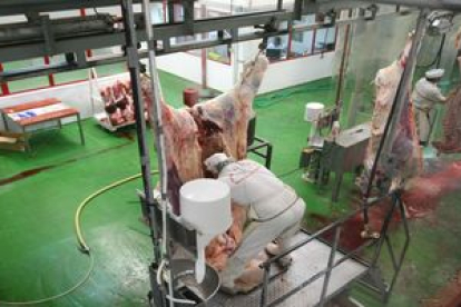 Dos operarios del ya cerrado matadero de Ponferrada despiezan la carne de dos reses
