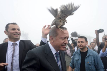 Una de las palomas que liberó el presidente turco se posa sobre su cabeza.