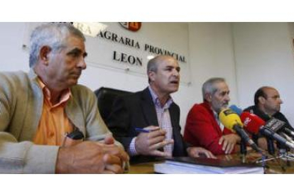 González, Turrado,  Llorente y Rodríguez anuncian la manifestación.