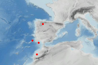 Mapa de los epicentros de los terremotos de este sábado 30 de septiembre. DL/IGN