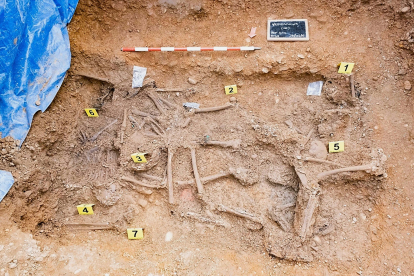 Situación en la fosa de los primeros cuerpos hallados en la exhumación en febrero de 2022. ARMH-Laura González-Garrido