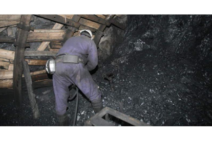Un minero extrae carbón en un pozo de la Hullera Vasco Leonesa