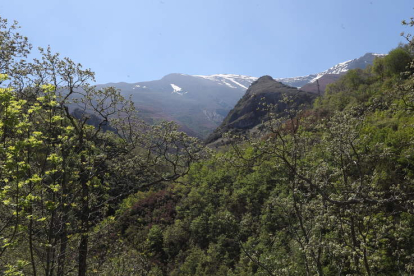 El Valle del Silencio es uno de los entornos naturales más sobresalientes del Bierzo y más promocionados por Ponferrada. ANA F. BARREDO