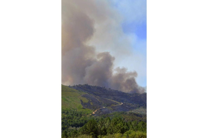 Columna de humo del incendio de la Sierra de Gata.