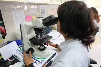 Una investigadora de la Universidad de León trabaja con el microscopio, en una imagen de archivo. NORBERTO