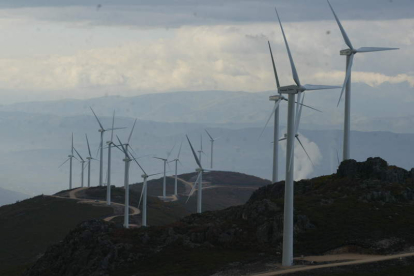 El impuesto grava el impacto de los parques eólicos en el medio ambiente. ANA F. BARREDO