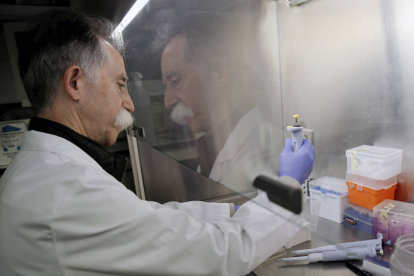 Investigadores de la Facultad de Medicina de la Universitat de València y del hospital La Fe han desarrollando un medicamento genético que hace efectiva la vacuna contra el cáncer. JUAN CARLOS CÁRDENAS