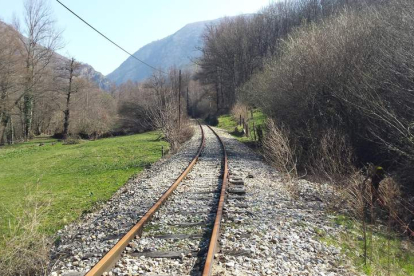 Un tramo de la histórica línea ferroviaria entre Ponferrada y Villablino. DL