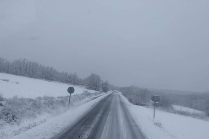 Una carretera de la provincia de León afectada por la nieve de las últimas jornadas.