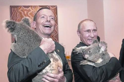 Putin (izquierda) y el primer ministro australiano, Tony Abbott, posan con koalas antes de la cumbre del G-20.