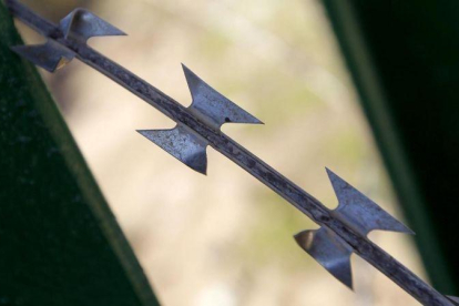 Concertina en la valla de Melilla.