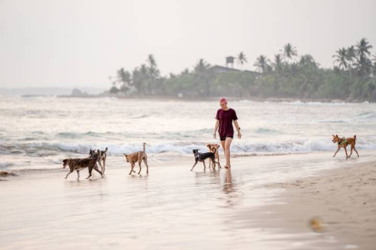 Una chica pasea con un grupo de perros en una playa del norte de España. DL
