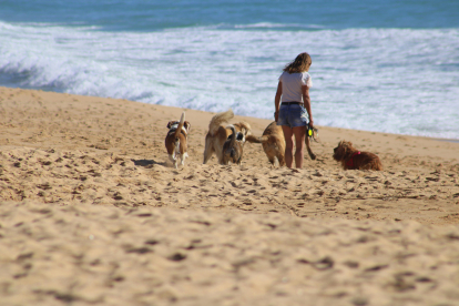 Una chica pasea con sus perros por una playa. DL