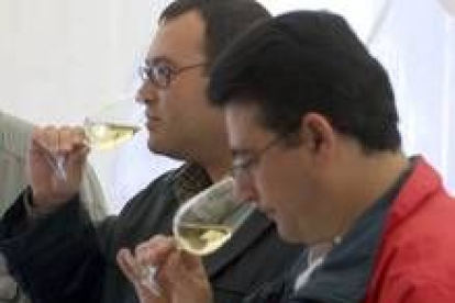 El consumo moderado de vino es beneficioso para la salud