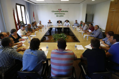 Pleno celebrado ayer en la Cámara Agraria de León para acordar el cese de su actividad