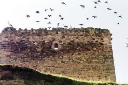 Aves sobrevolando el castillo de Santa Elena de Jamuz, un sisón y el Jamuz. A la derecha, el embalse