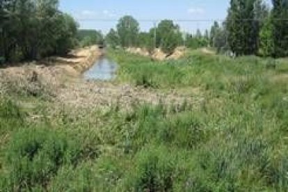 Los trabajos comienzan a ser visibles en los márgenes del río Jamuz a su paso por Jiménez