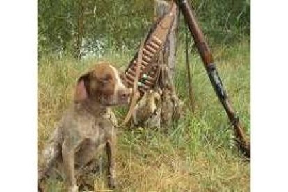 Un alto en el camino: el perro vigila la percha y el cazador cambia la escopeta por el bocadillo