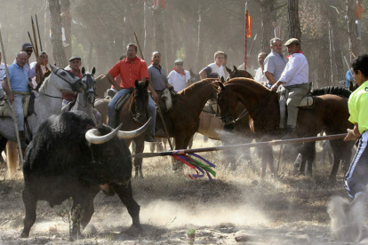Fotografía de archivo de la celebración del Toro de la Vega, en Tordesillas. RICARDO SUÁREZ