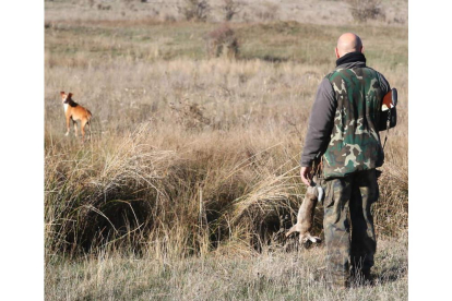 Un cazador en una de las jornadas en el campo leonés. RAMIRO
