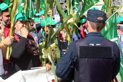 Agricultores leoneses en una reciente protesta en Madrid en defensa del maíz. BENITO ORDÓÑEZ