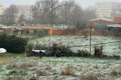Los efectos de la helada se dejaron notar este domingo en León. DL