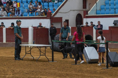 Exhibición de la Guardia Civil en la plaza de toros de León. MIGUEL F. B.