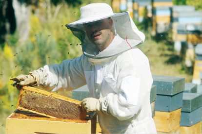 Carlos Fernández, un joven apicultor de León, rodeado por un enjambre de abejas, con su traje de seguridad blanco. L. DE LA MATA